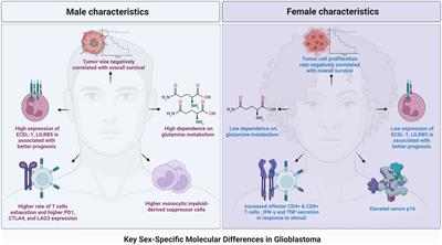 Sex-specific molecular differences in glioblastoma: assessing the clinical significance of genetic variants